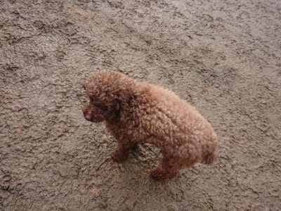 f:id:roukenhome-ann:20190115203644j:plain f:id:roukenhome-ann:20190115203644j:plain