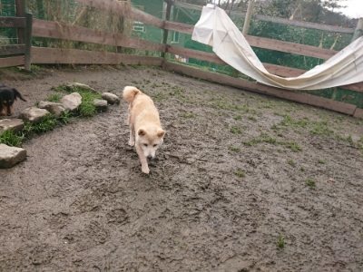 f:id:roukenhome-ann:20190115203706j:plain f:id:roukenhome-ann:20190115203706j:plain