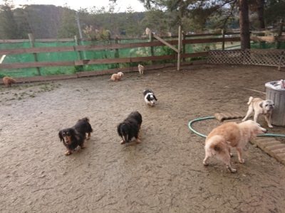 f:id:roukenhome-ann:20190115203736j:plain f:id:roukenhome-ann:20190115203736j:plain