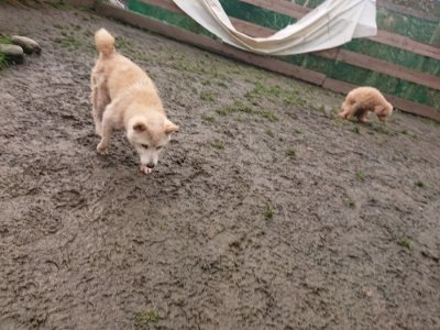 f:id:roukenhome-ann:20190115203819j:plain f:id:roukenhome-ann:20190115203819j:plain
