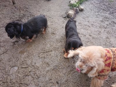 f:id:roukenhome-ann:20190115203824j:plain f:id:roukenhome-ann:20190115203824j:plain