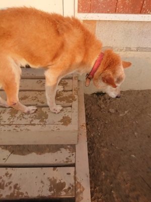 f:id:roukenhome-ann:20190115203838j:plain f:id:roukenhome-ann:20190115203838j:plain