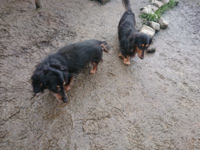 f:id:roukenhome-ann:20190115203850j:plain f:id:roukenhome-ann:20190115203850j:plain