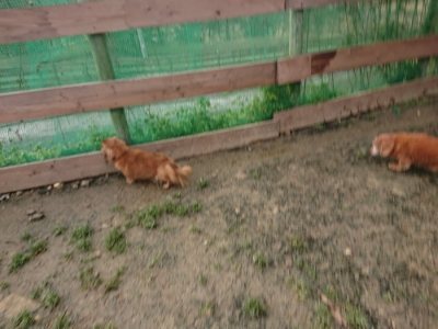 f:id:roukenhome-ann:20190115204417j:plain f:id:roukenhome-ann:20190115204417j:plain