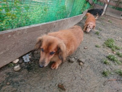 f:id:roukenhome-ann:20190115204458j:plain f:id:roukenhome-ann:20190115204458j:plain
