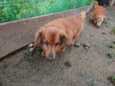 f:id:roukenhome-ann:20190115204529j:plain f:id:roukenhome-ann:20190115204529j:plain