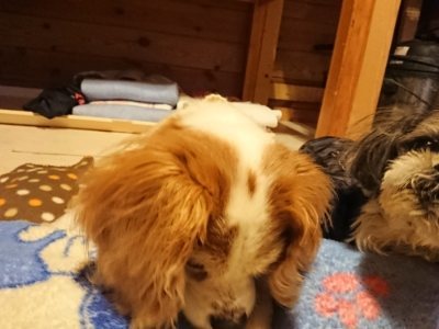 f:id:roukenhome-ann:20190115204617j:plain f:id:roukenhome-ann:20190115204617j:plain