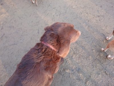 f:id:roukenhome-ann:20190115204634j:plain f:id:roukenhome-ann:20190115204634j:plain