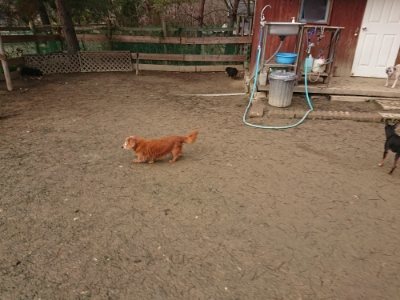 f:id:roukenhome-ann:20190115204705j:plain f:id:roukenhome-ann:20190115204705j:plain