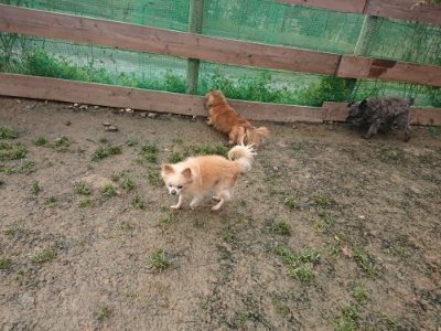 f:id:roukenhome-ann:20190115204725j:plain f:id:roukenhome-ann:20190115204725j:plain