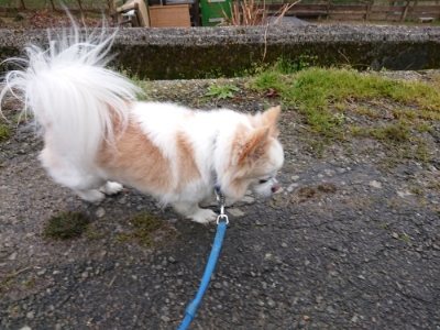 f:id:roukenhome-ann:20190115205155j:plain f:id:roukenhome-ann:20190115205155j:plain
