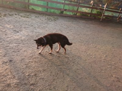 f:id:roukenhome-ann:20190115205204j:plain f:id:roukenhome-ann:20190115205204j:plain