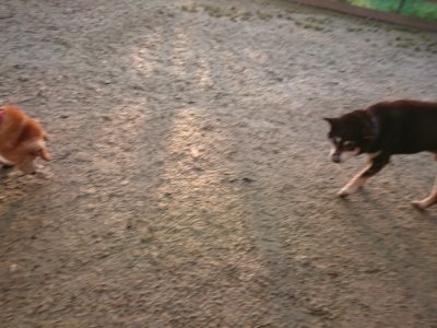 f:id:roukenhome-ann:20190115205210j:plain f:id:roukenhome-ann:20190115205210j:plain