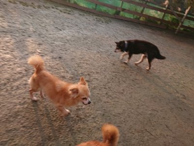 f:id:roukenhome-ann:20190115205230j:plain f:id:roukenhome-ann:20190115205230j:plain