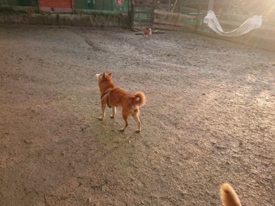 f:id:roukenhome-ann:20190115205259j:plain f:id:roukenhome-ann:20190115205259j:plain