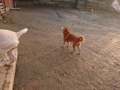 f:id:roukenhome-ann:20190115205326j:plain f:id:roukenhome-ann:20190115205326j:plain