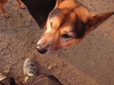 f:id:roukenhome-ann:20190115205355j:plain f:id:roukenhome-ann:20190115205355j:plain