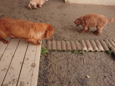 f:id:roukenhome-ann:20190115210119j:plain f:id:roukenhome-ann:20190115210119j:plain