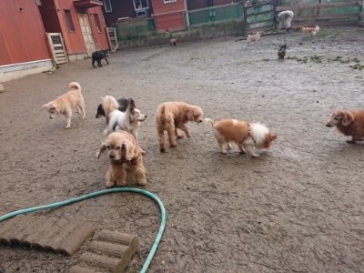 f:id:roukenhome-ann:20190115210128j:plain f:id:roukenhome-ann:20190115210128j:plain
