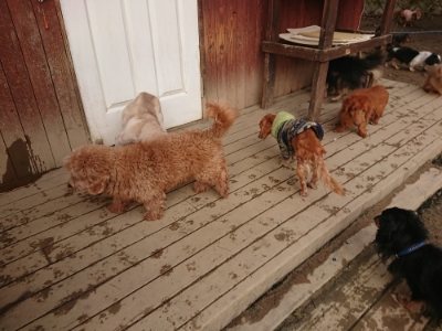 f:id:roukenhome-ann:20190115210159j:plain f:id:roukenhome-ann:20190115210159j:plain