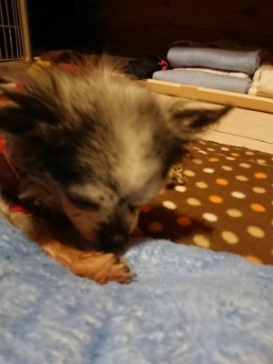 f:id:roukenhome-ann:20190115210253j:plain f:id:roukenhome-ann:20190115210253j:plain