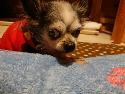 f:id:roukenhome-ann:20190115210258j:plain f:id:roukenhome-ann:20190115210258j:plain