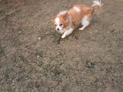f:id:roukenhome-ann:20190115210349j:plain f:id:roukenhome-ann:20190115210349j:plain