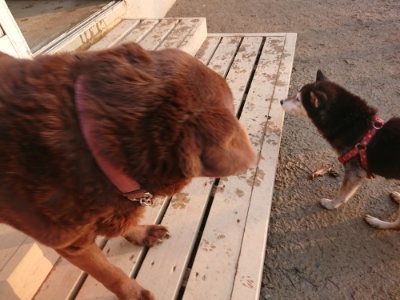 f:id:roukenhome-ann:20190115210359j:plain f:id:roukenhome-ann:20190115210359j:plain