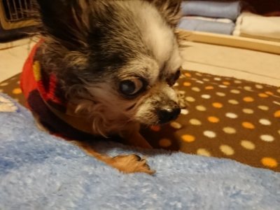 f:id:roukenhome-ann:20190115210415j:plain f:id:roukenhome-ann:20190115210415j:plain