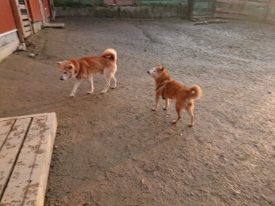 f:id:roukenhome-ann:20190115210432j:plain f:id:roukenhome-ann:20190115210432j:plain