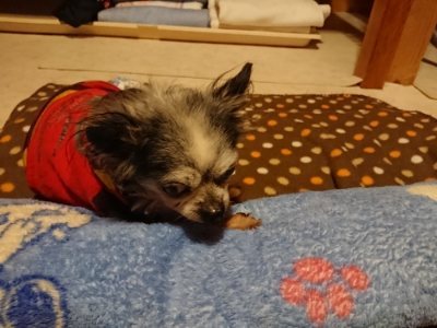 f:id:roukenhome-ann:20190115210439j:plain f:id:roukenhome-ann:20190115210439j:plain