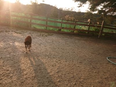 f:id:roukenhome-ann:20190116052759j:plain