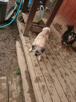 f:id:roukenhome-ann:20190116052837j:plain