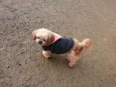 f:id:roukenhome-ann:20190116052849j:plain