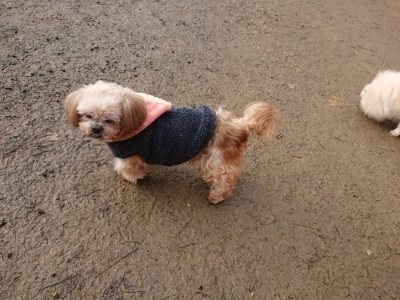 f:id:roukenhome-ann:20190116052907j:plain