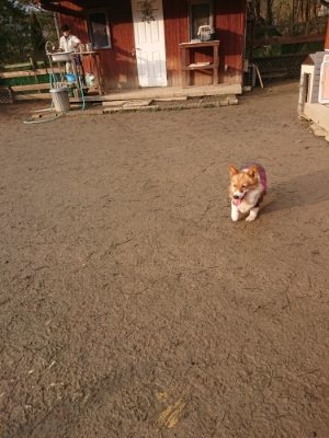 f:id:roukenhome-ann:20190116052924j:plain