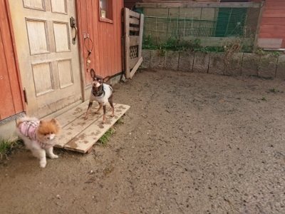 f:id:roukenhome-ann:20190116052929j:plain