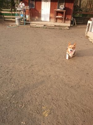 f:id:roukenhome-ann:20190116052946j:plain