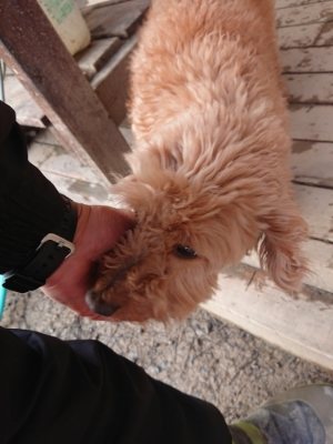 f:id:roukenhome-ann:20190116053148j:plain