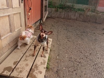 f:id:roukenhome-ann:20190116053201j:plain