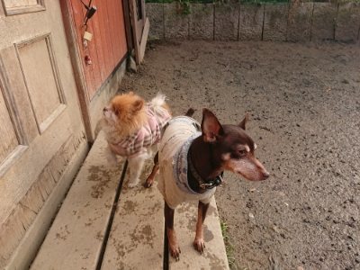 f:id:roukenhome-ann:20190116053224j:plain