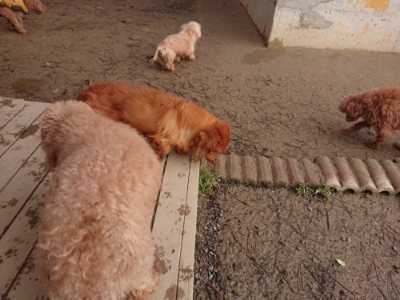 f:id:roukenhome-ann:20190116053233j:plain