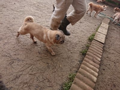 f:id:roukenhome-ann:20190116053239j:plain