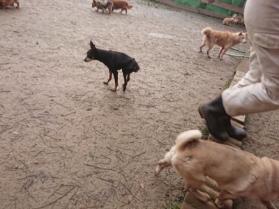 f:id:roukenhome-ann:20190116053258j:plain