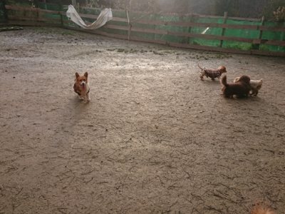 f:id:roukenhome-ann:20190116053311j:plain