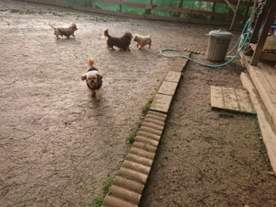 f:id:roukenhome-ann:20190116053330j:plain