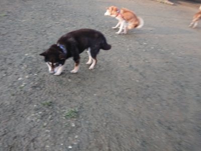 f:id:roukenhome-ann:20190116053430j:plain