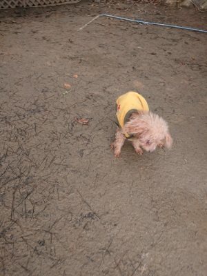 f:id:roukenhome-ann:20190116072230j:plain
