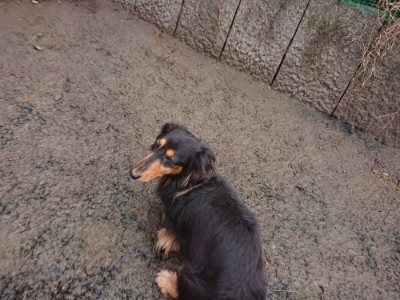 f:id:roukenhome-ann:20190116072249j:plain