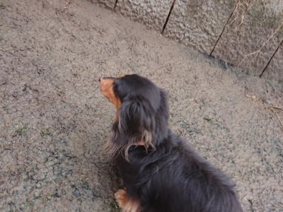 f:id:roukenhome-ann:20190116072254j:plain